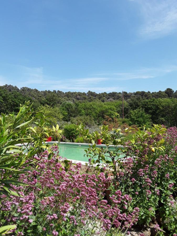 Le Paradis Vaugines Luaran gambar