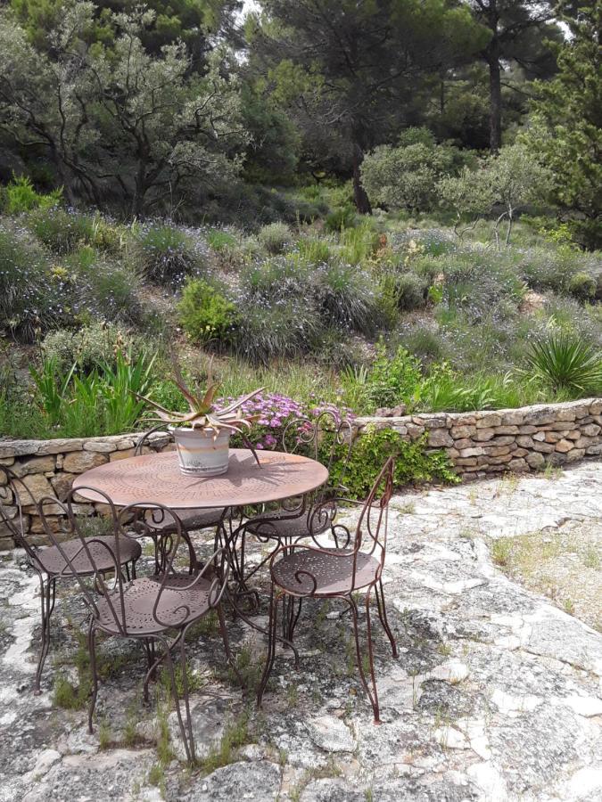 Le Paradis Vaugines Luaran gambar