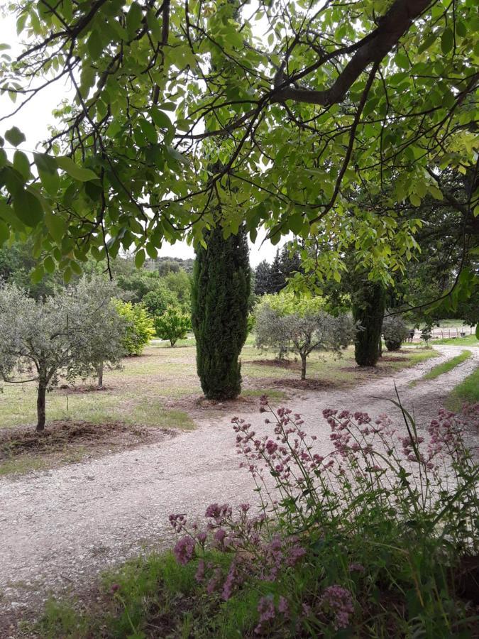 Le Paradis Vaugines Luaran gambar