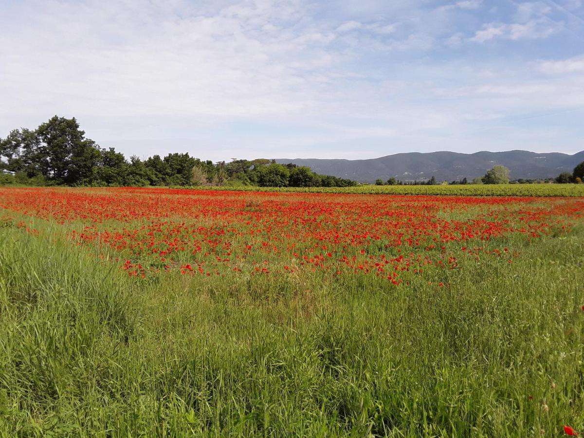 Le Paradis Vaugines Luaran gambar