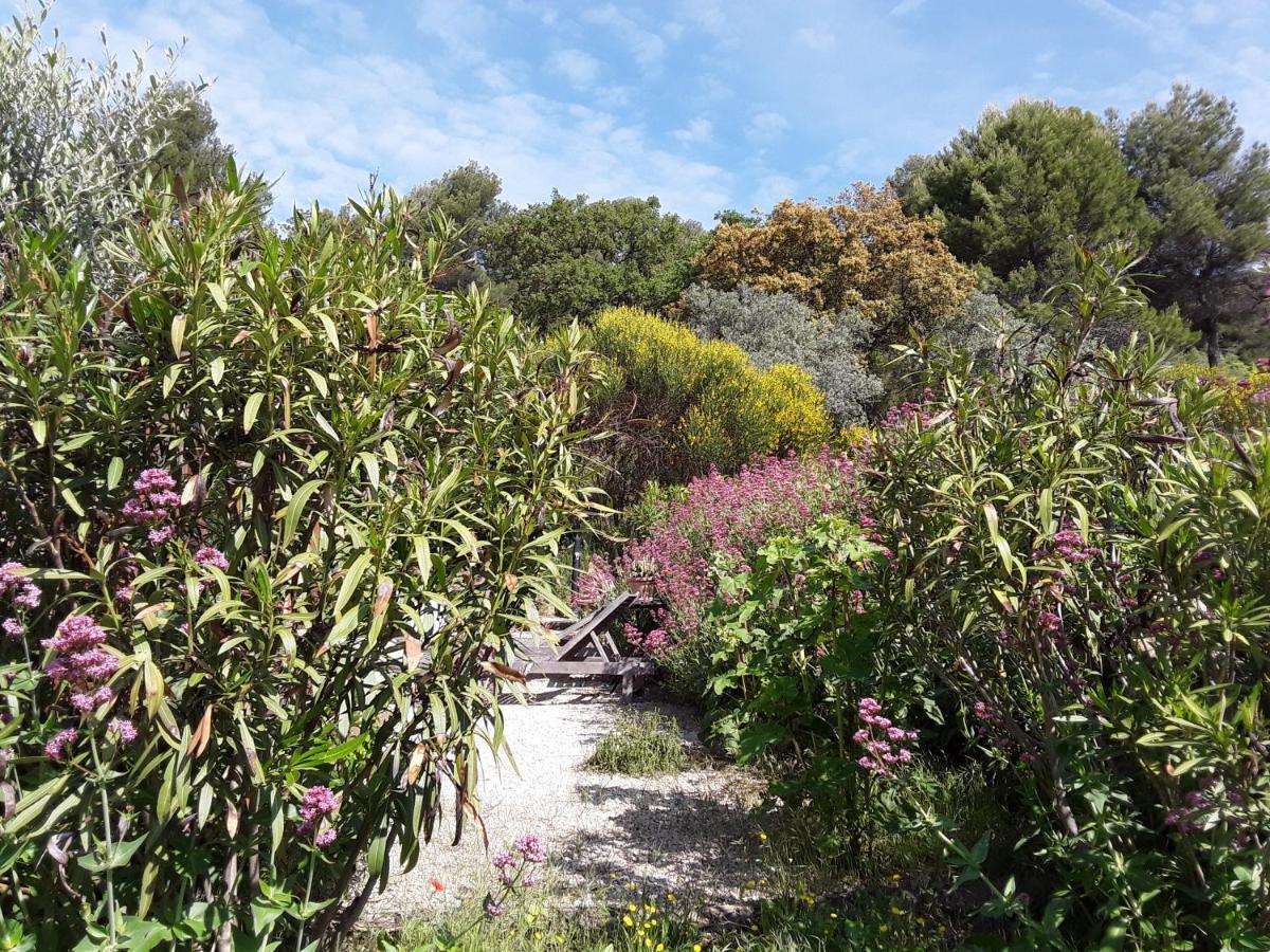 Le Paradis Vaugines Luaran gambar